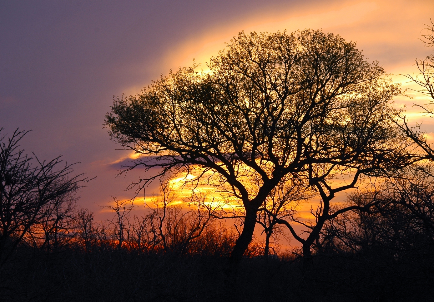 Sunset on the Outskirts of Kruger National Park